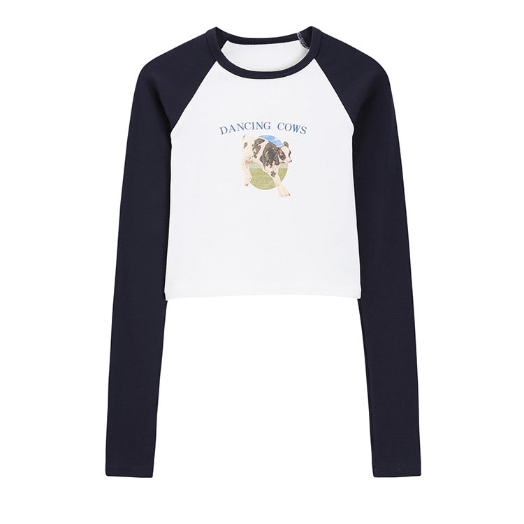 Dancing Cows Top