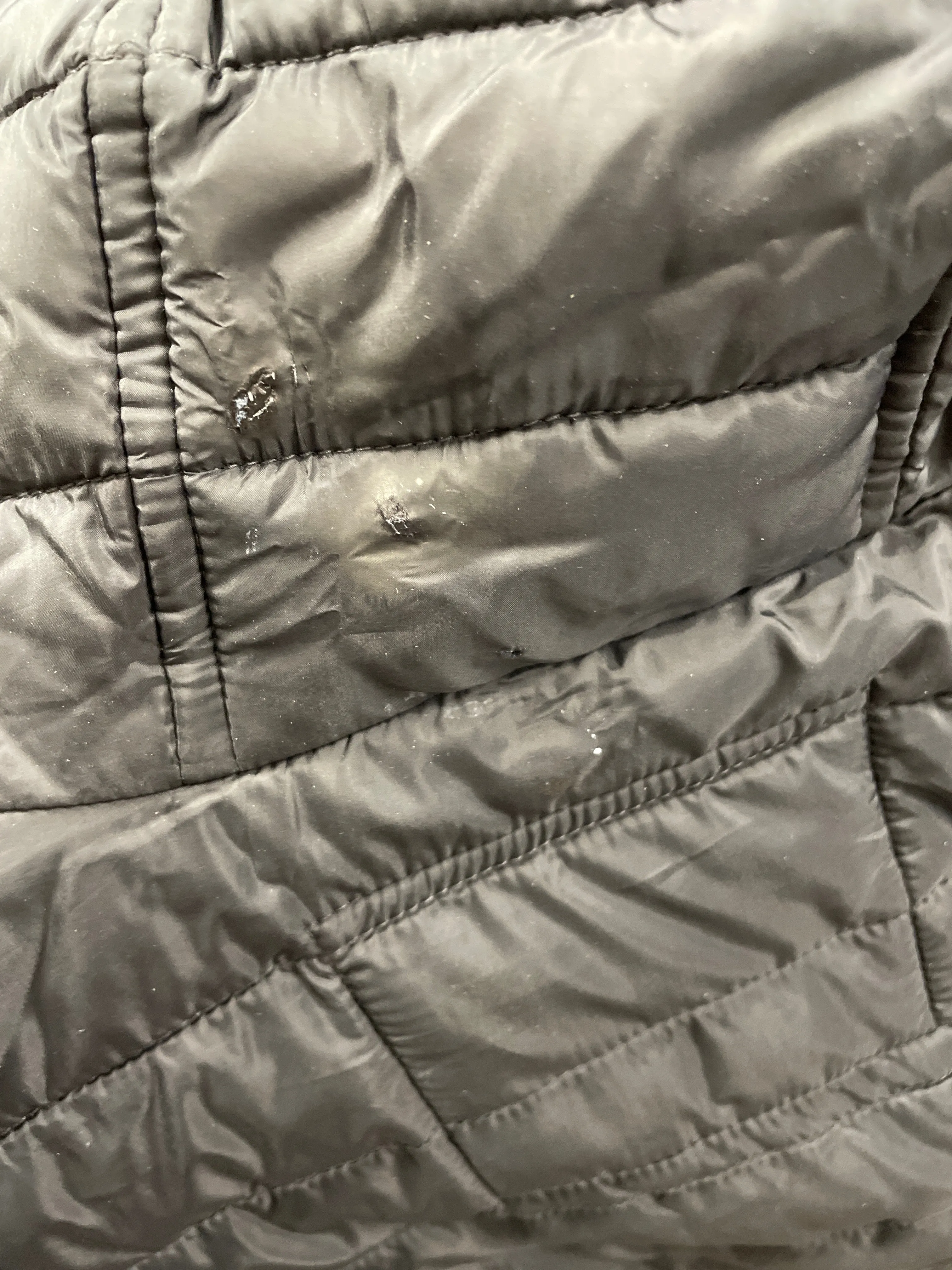 Jacket Puffer & Quilted By Aeropostale In Black, Size: S