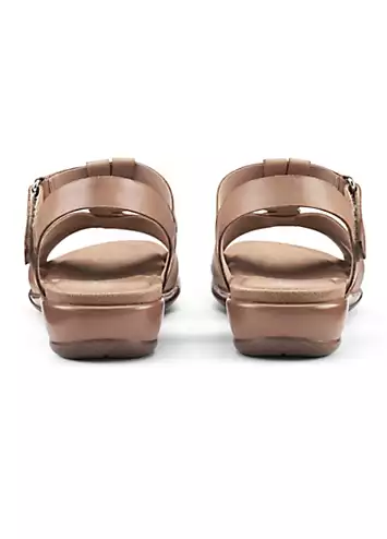 Valencia Rich Tan Women’s Sandals by Hotter | Look Again